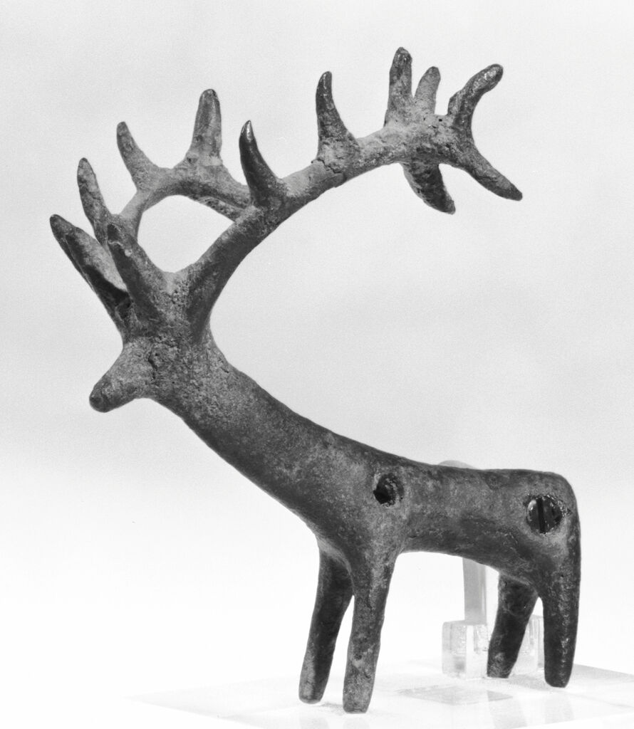Stag With Long Antlers