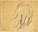 A drawing of a left hand.