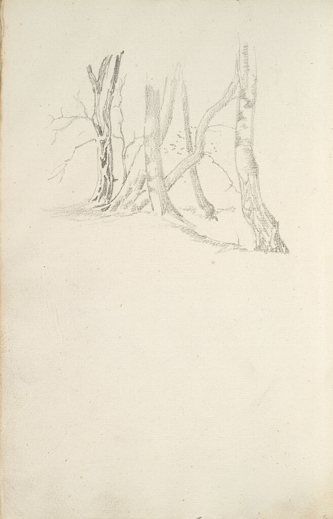 Blank; Verso: Trees