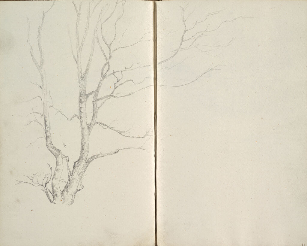 Tree (Continues On Page 37 Verso); Verso: Landscape (Continues On Page 39 Recto)