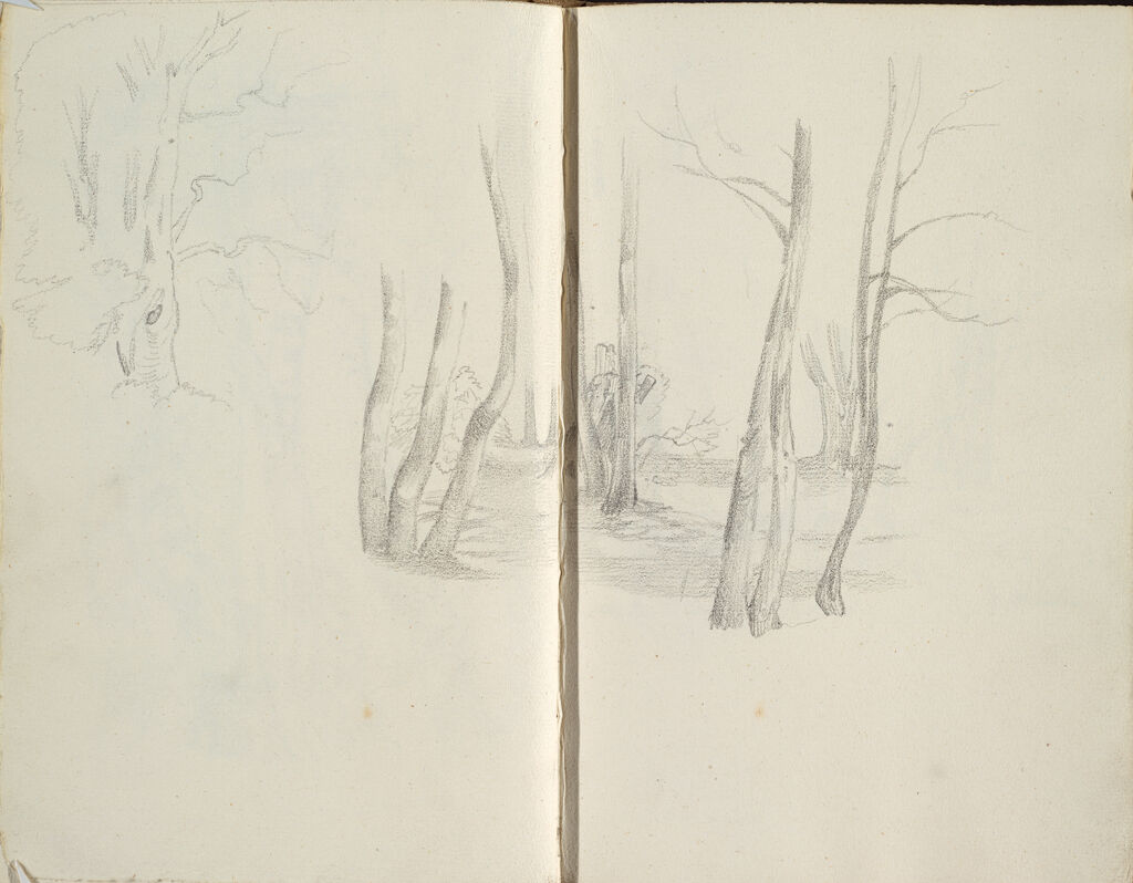 Wooded Landscape (Continues On Page 41 Verso); Verso: Wooded Landscape (Continues On Page 43 Recto)