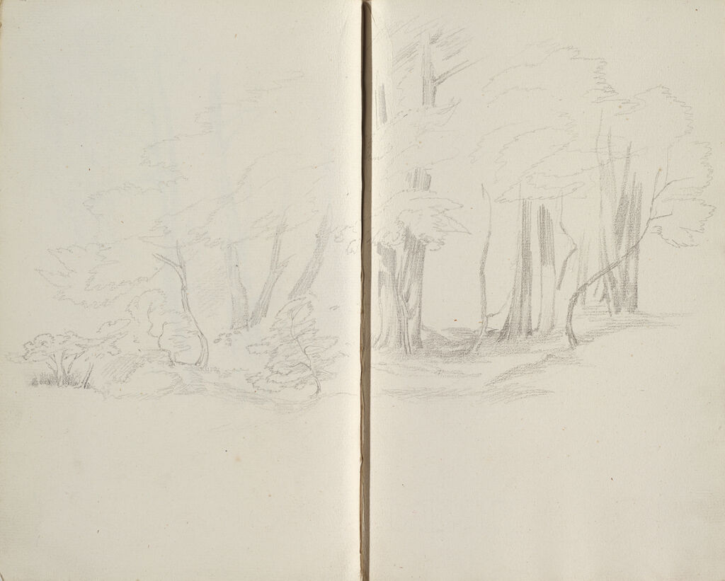 Wooded Landscape (Continues On Page 42 Verso); Verso: Blank
