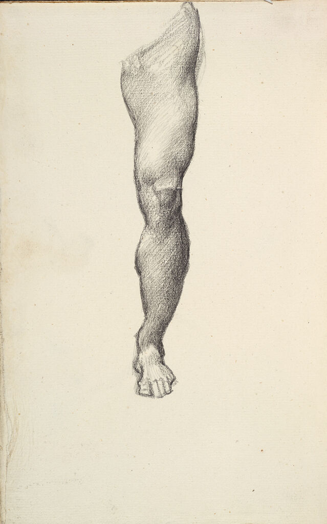Blank; Verso: Male Left Leg, For 