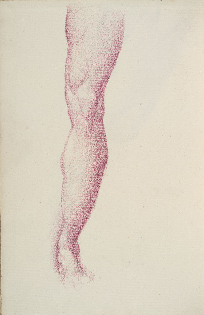 Blank; Verso: Male Left Leg, For 