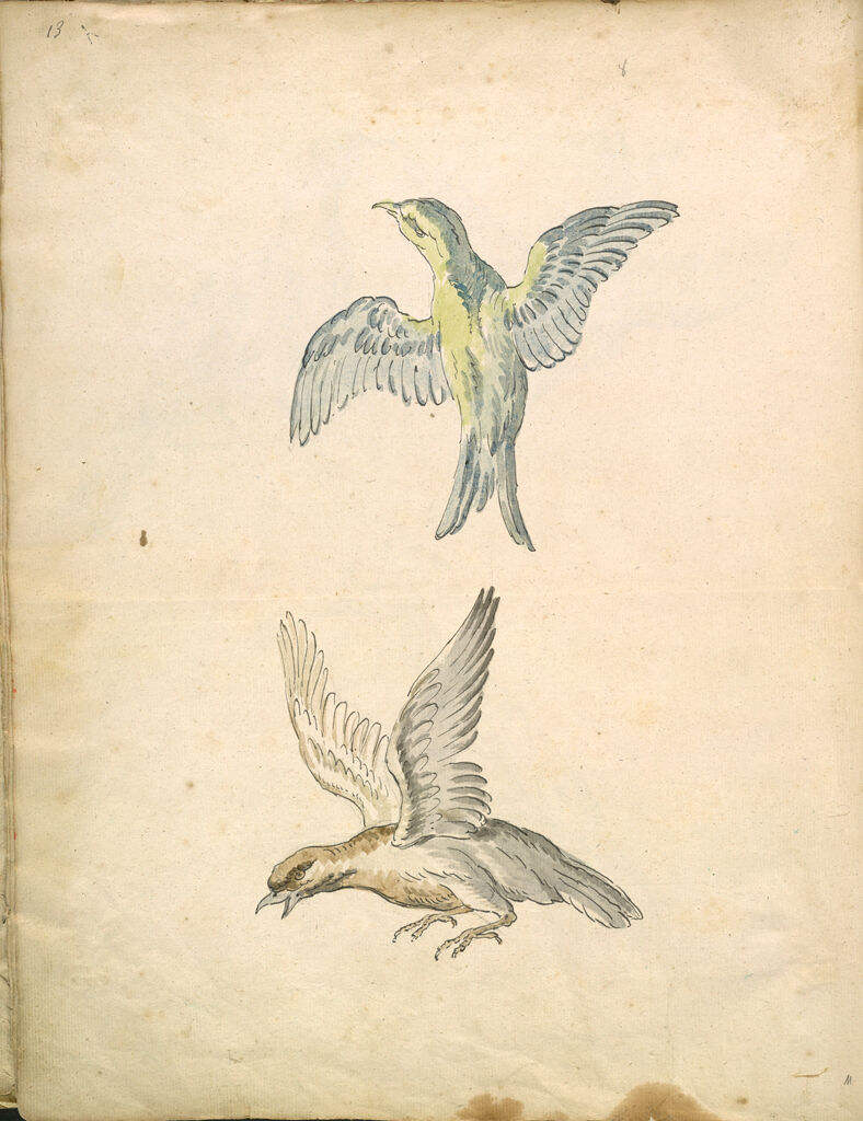 Folio Recto: Blank; Verso: Two Birds In Flight