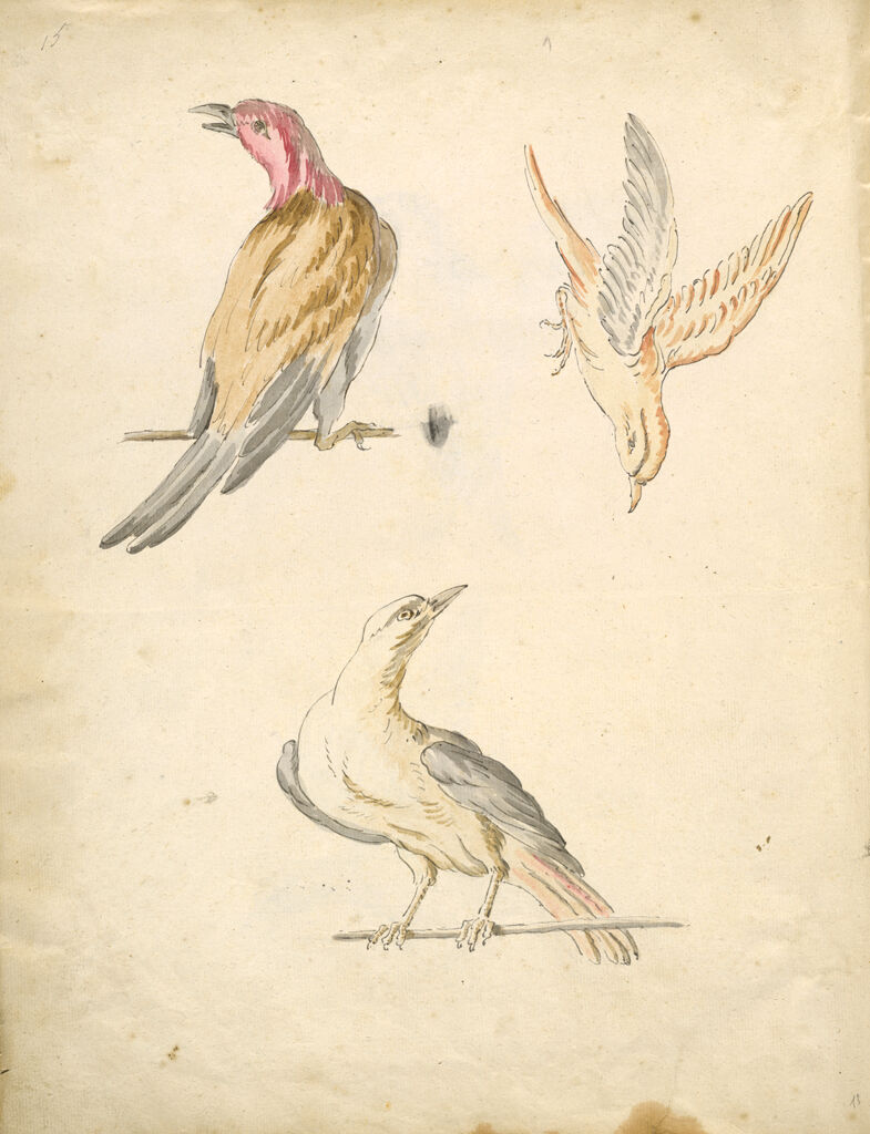 Folio Recto: Blank; Verso: Two Perched Birds And One In Flight