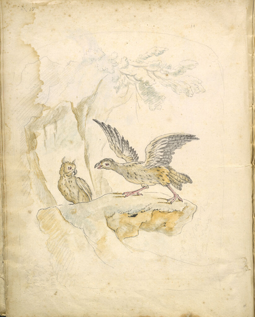 Folio Recto: Blank; Verso: Bird Confronting An Owl Before A Cave