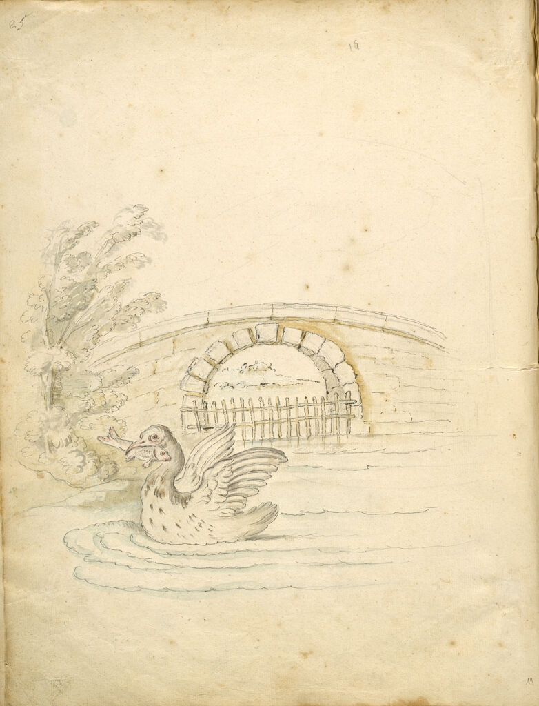 Folio Recto: Blank; Verso: Swan Transporting A Fish In A Landsape