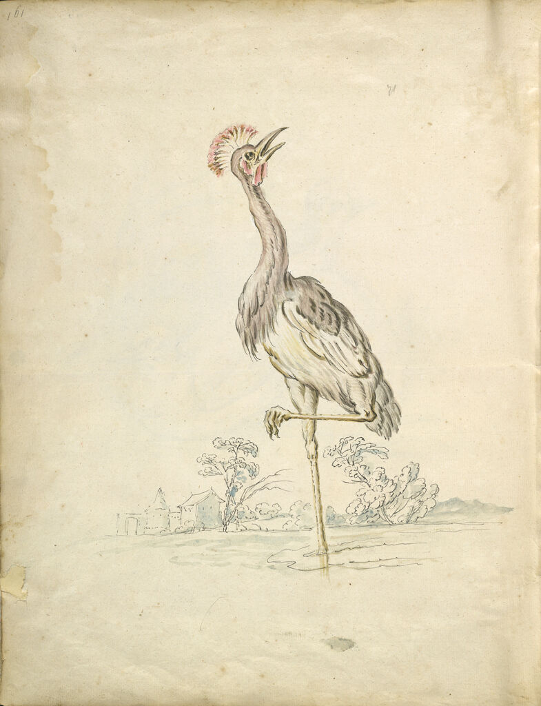 Folio Recto: Blank; Verso: Crane Standing On One Leg Looking Upward