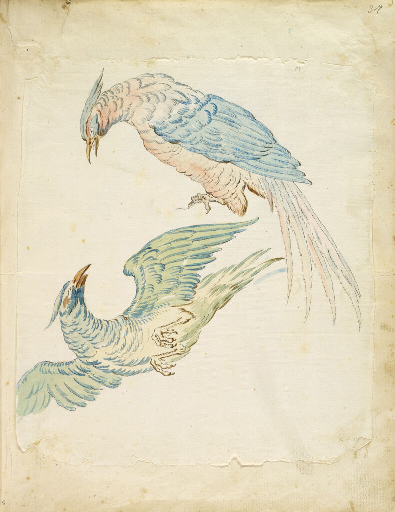 Two Birds, One Perched And One In Flight; Verso: Blank