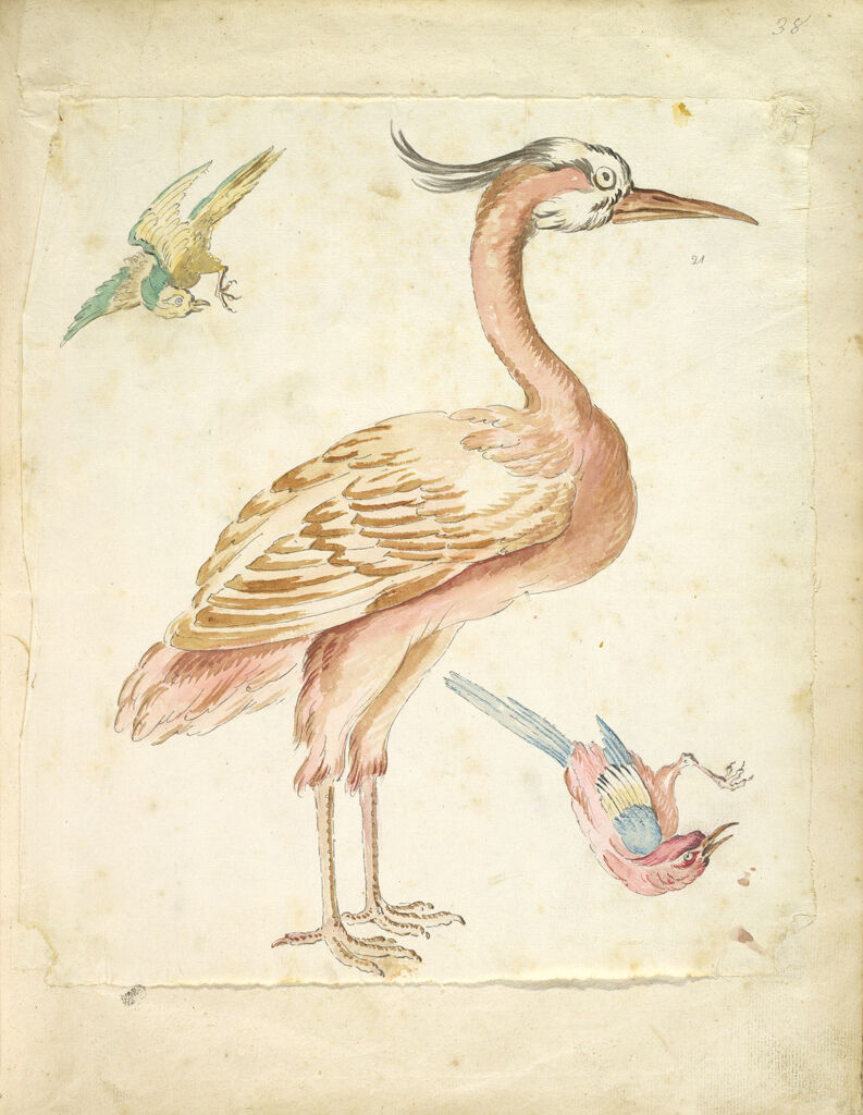 Standing Heron And Two Small Birds, One Perched And One In Flight; Verso: Blank