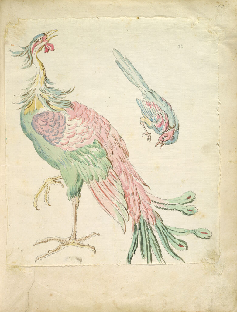 Standing Peacock And Small Perched Bird; Verso: Blank