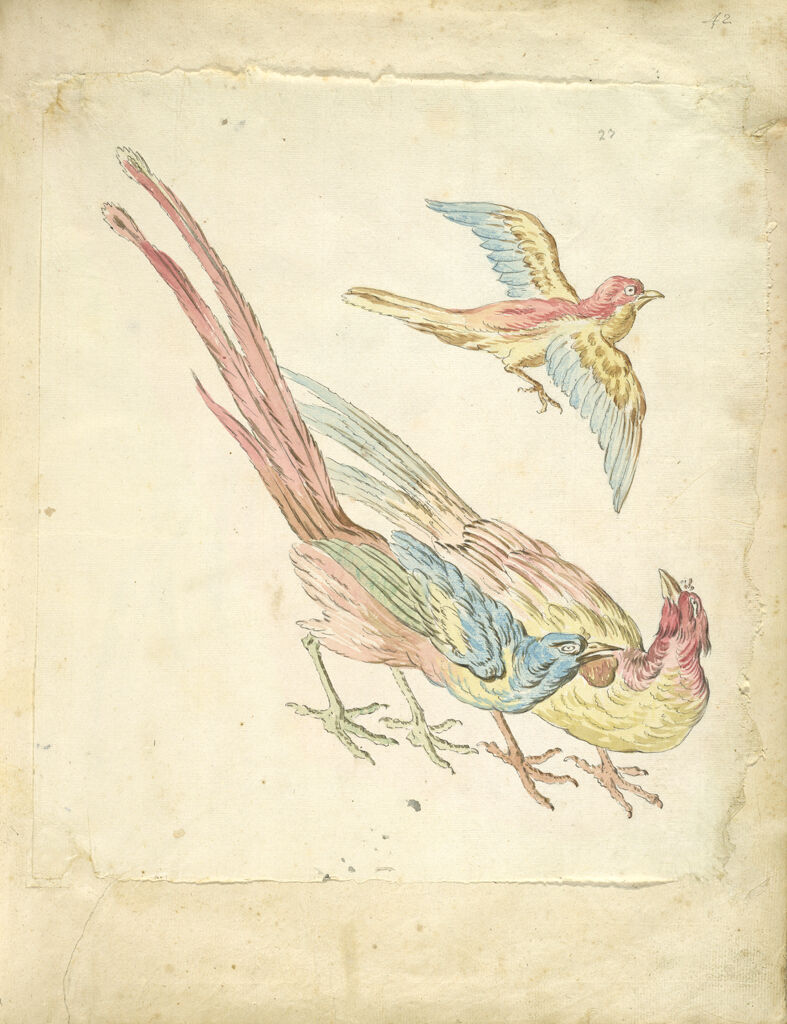 Small Bird In Flight Above Two Pheasants; Verso: Blank