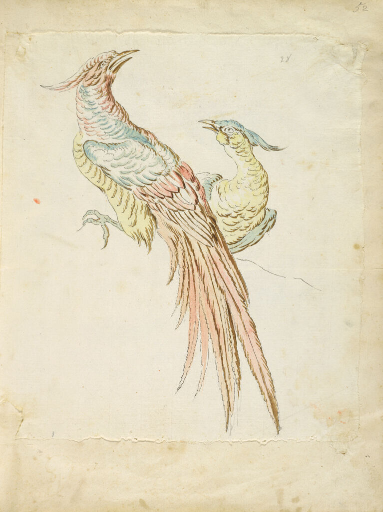 Two Perched And Squawking Pheasants; Verso: Blank