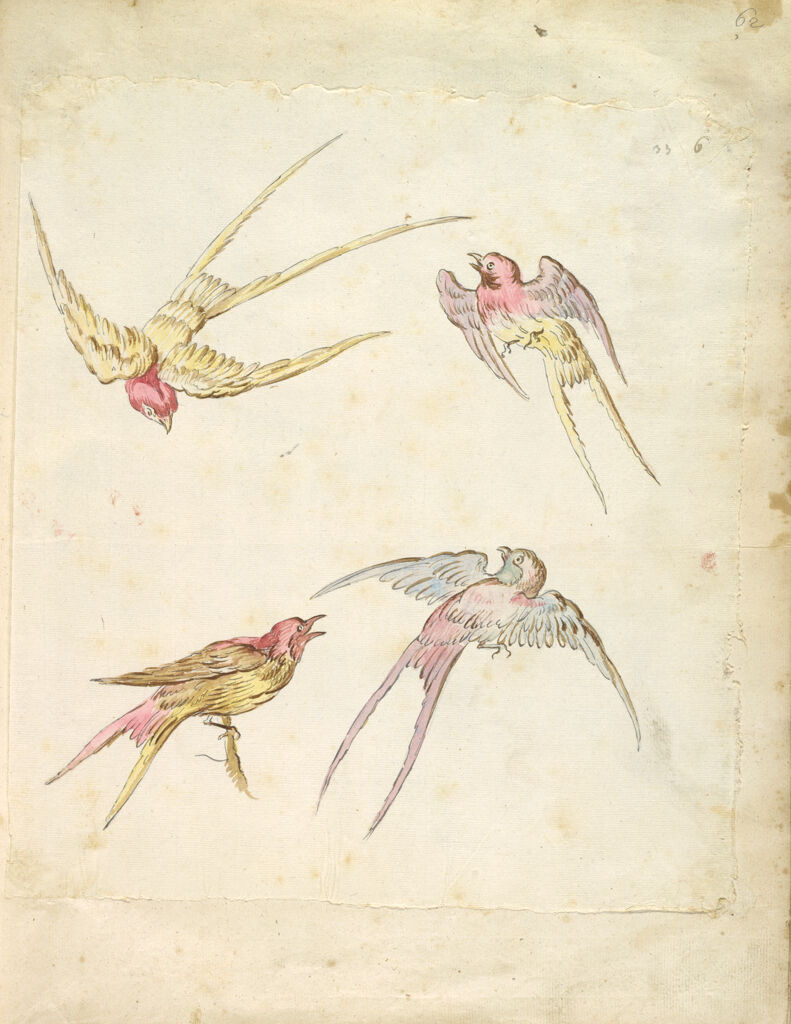 Four Swallows, One Perched And Three In Flight; Verso: Blank