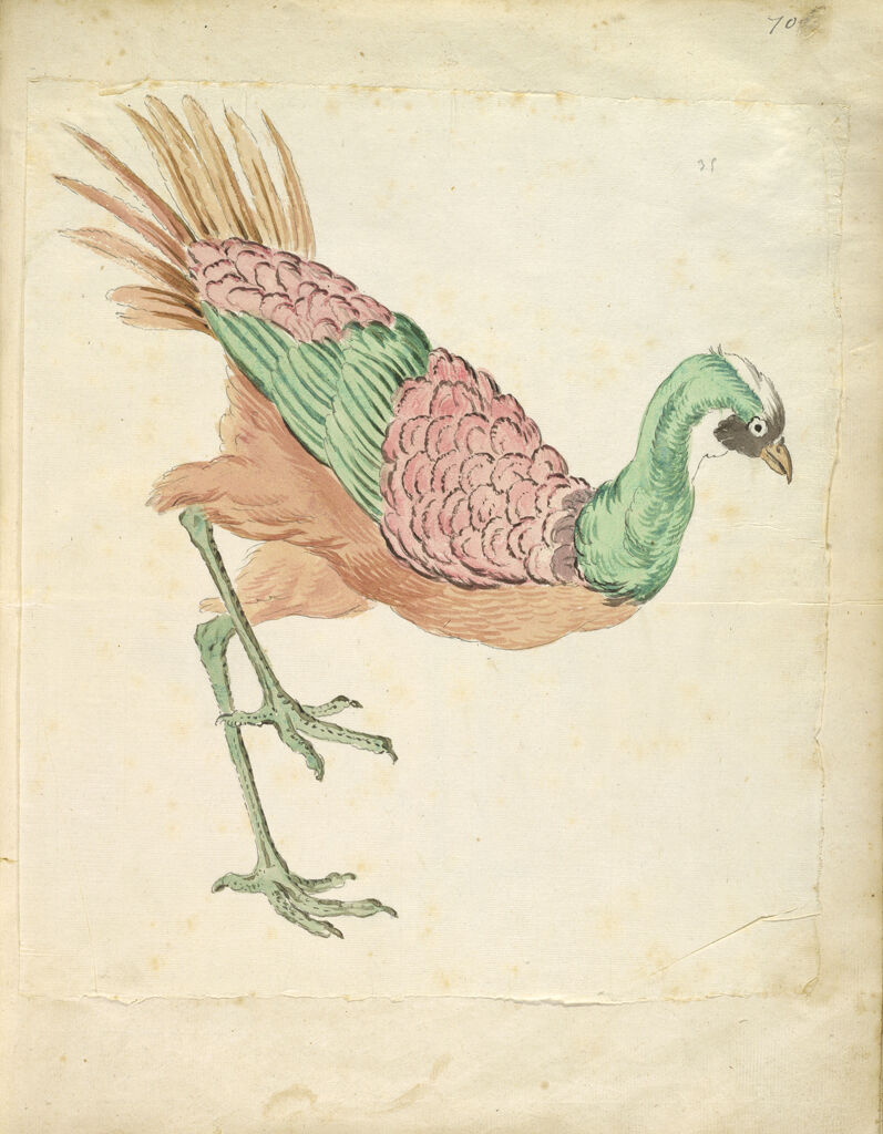 Striding Bird; Verso: Blank