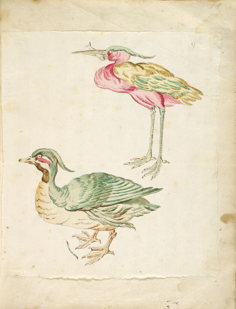 Duck And Heron With A Fish; Verso: Blank