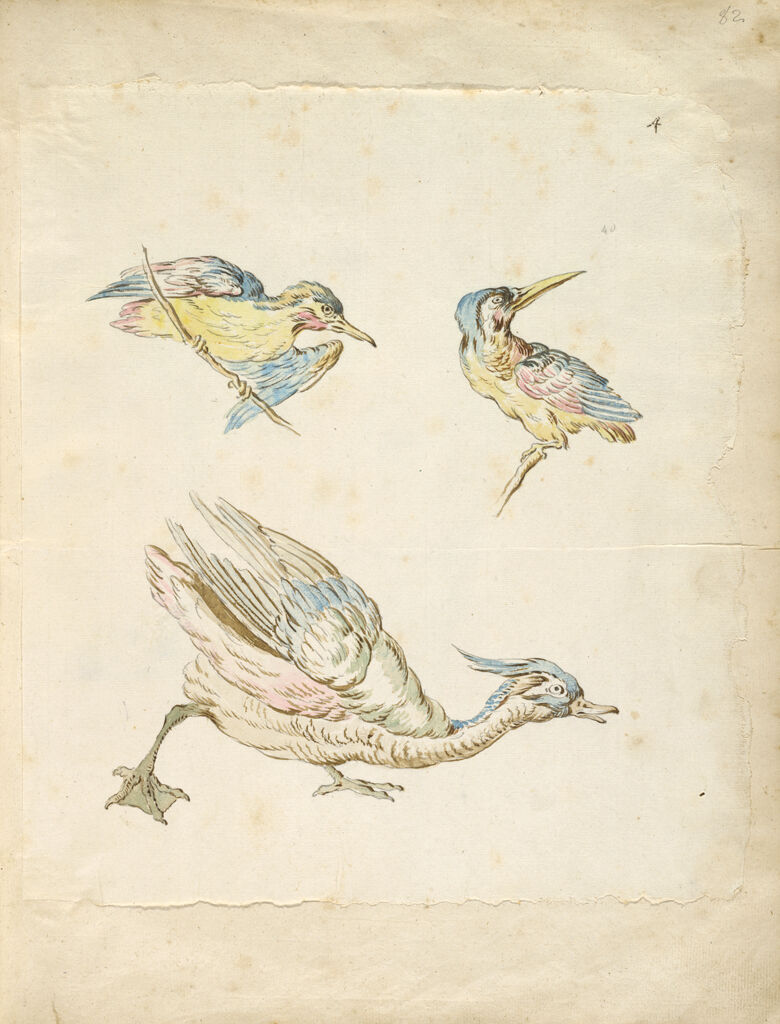 Two Perched Birds And A Duck; Verso: Blank