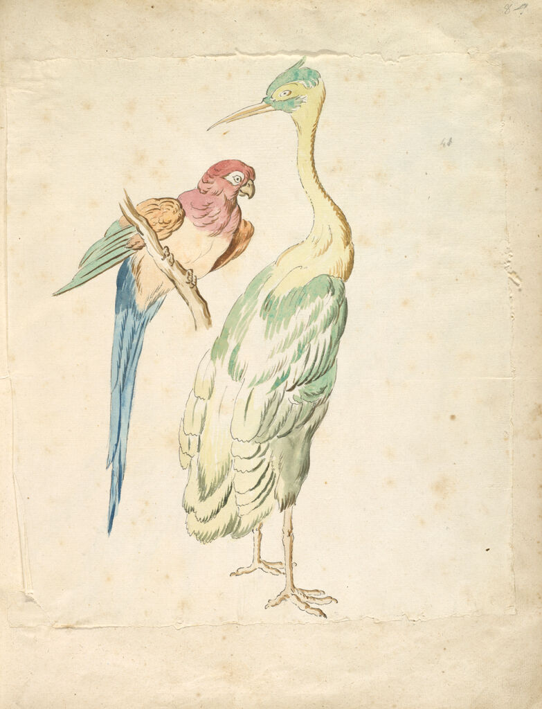 Perched Parrot And Standing Heron; Verso: Blank