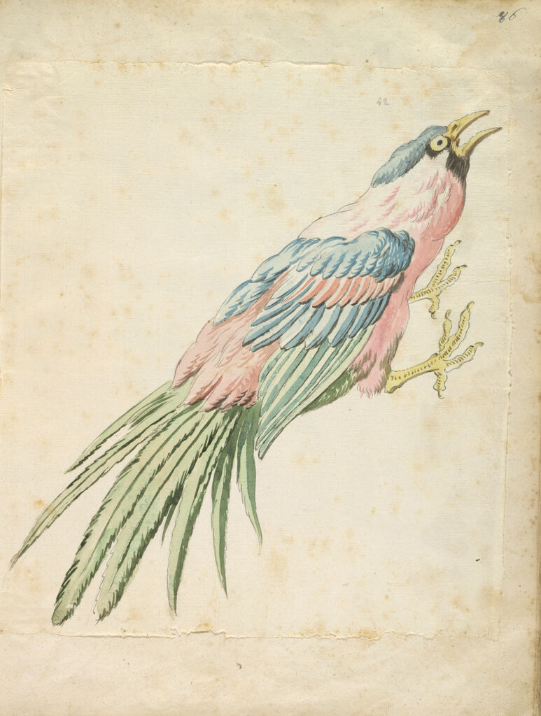 Squawking Bird With Talons Extended To The Right; Verso: Blank