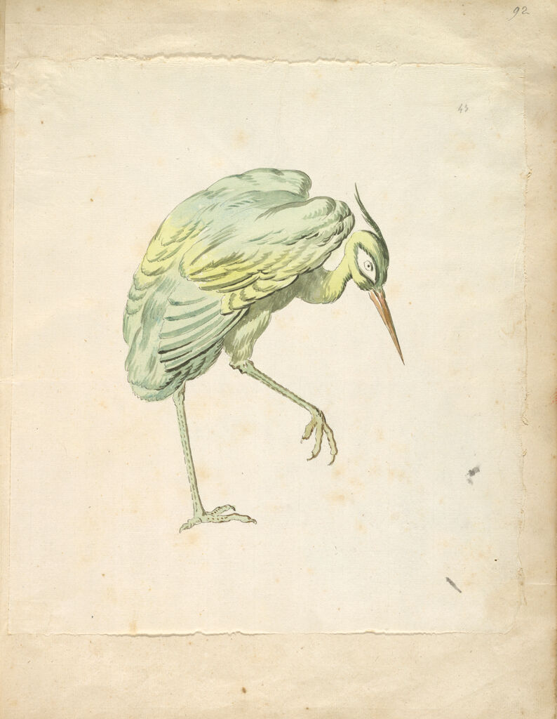 Standing Heron With Right Leg Raised; Verso: Blank
