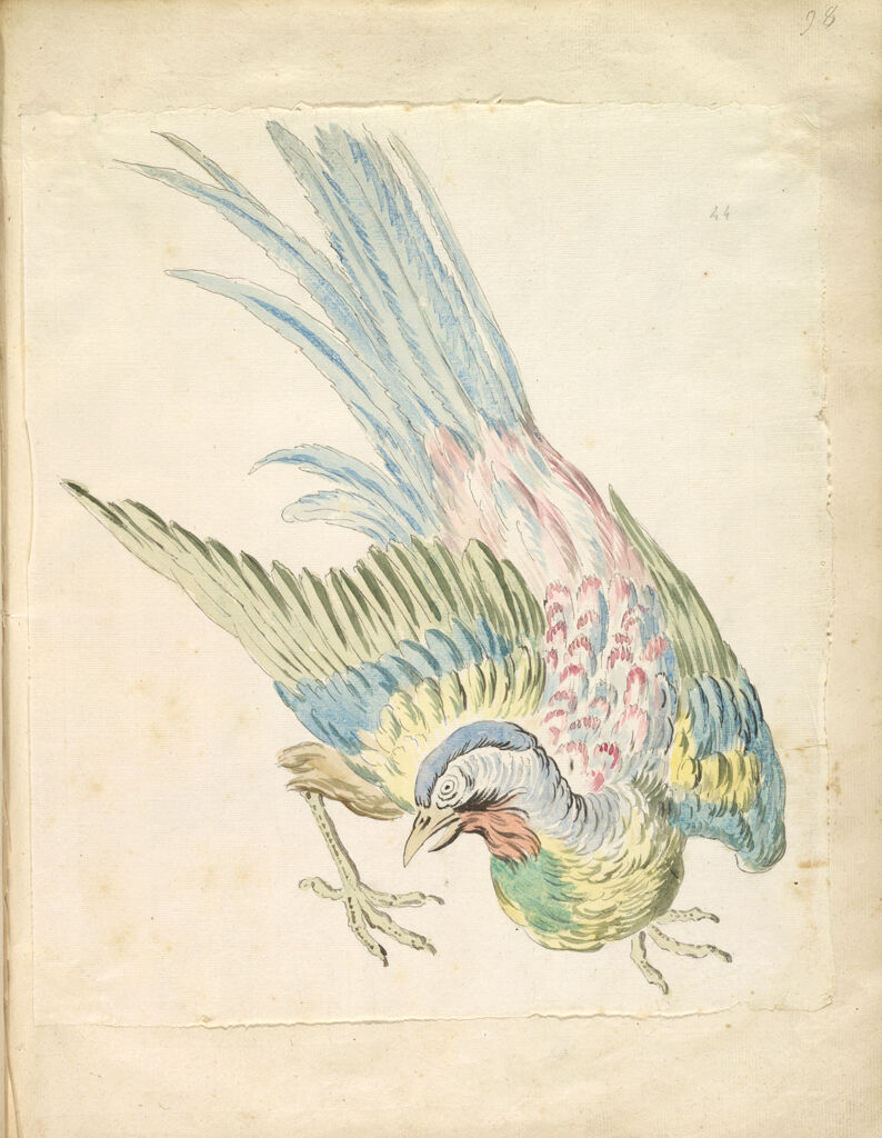 Hunched Bird With Ruffled Feathers; Verso: Blank