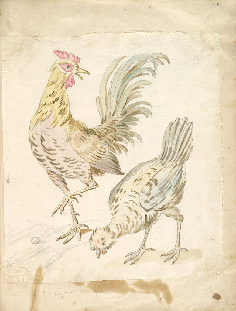 Rooster And Hen; Verso: Blank