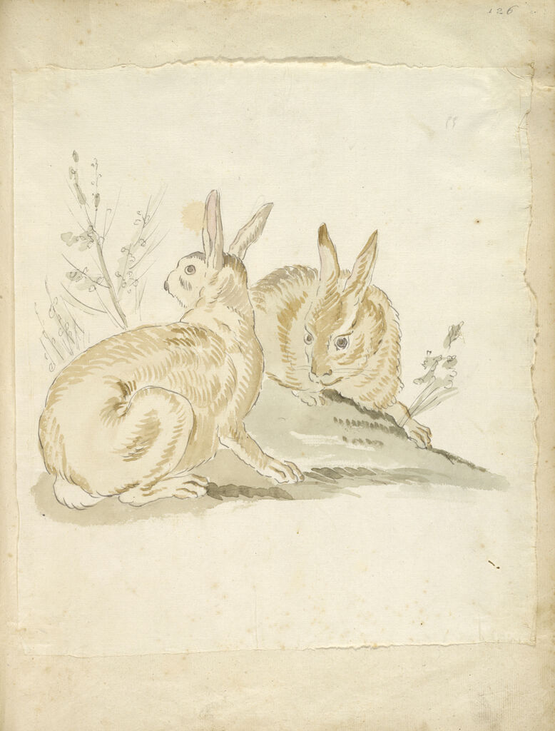 Two Rabbits; Verso: Blank
