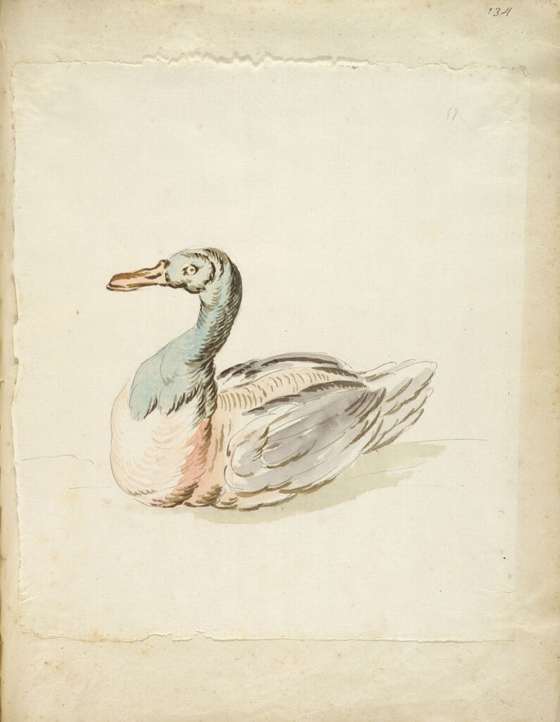 Seated Duck; Verso: Blank