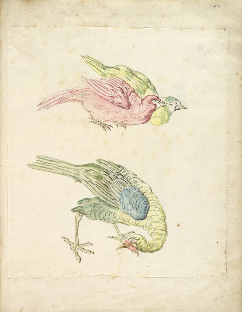 Three Birds, Two Hunched Together And One Looking Back To The Left; Verso: Blank
