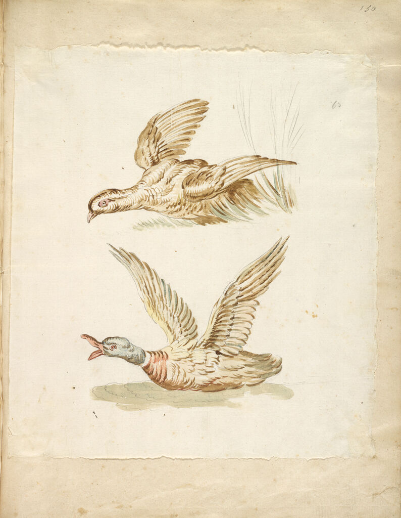 Two Birds Taking Flight; Verso: Blank