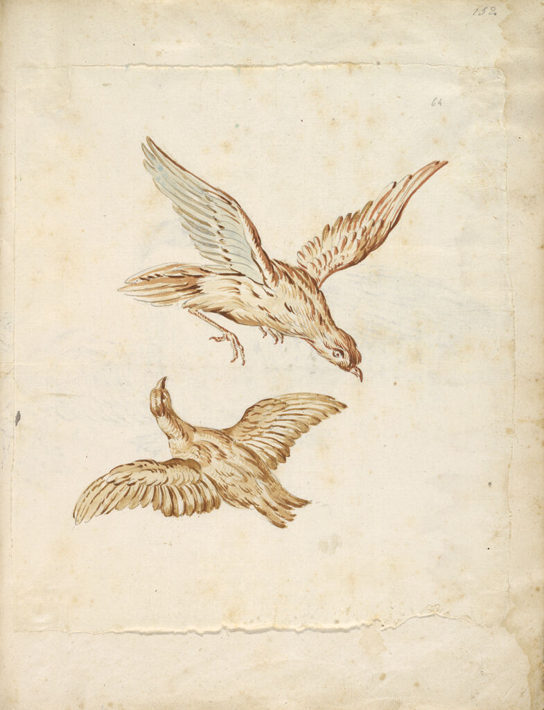 Two Birds In Flight; Verso: Swan