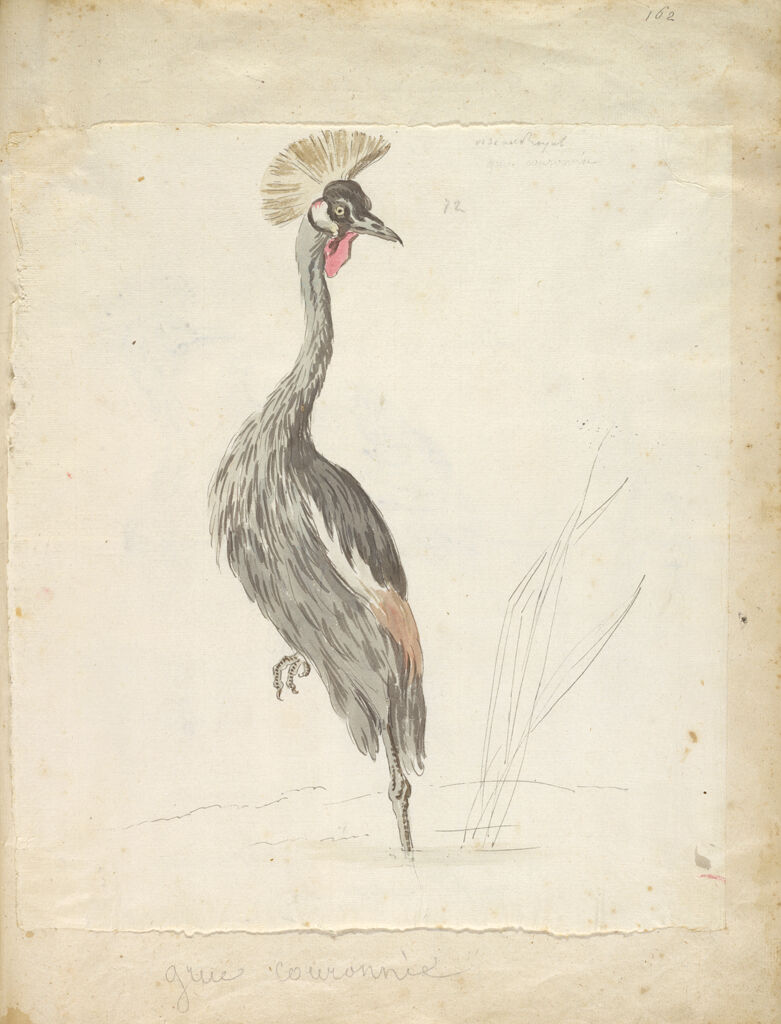 Crane Looking To The Left; Verso: Crane Stading On One Leg Looking To The Right