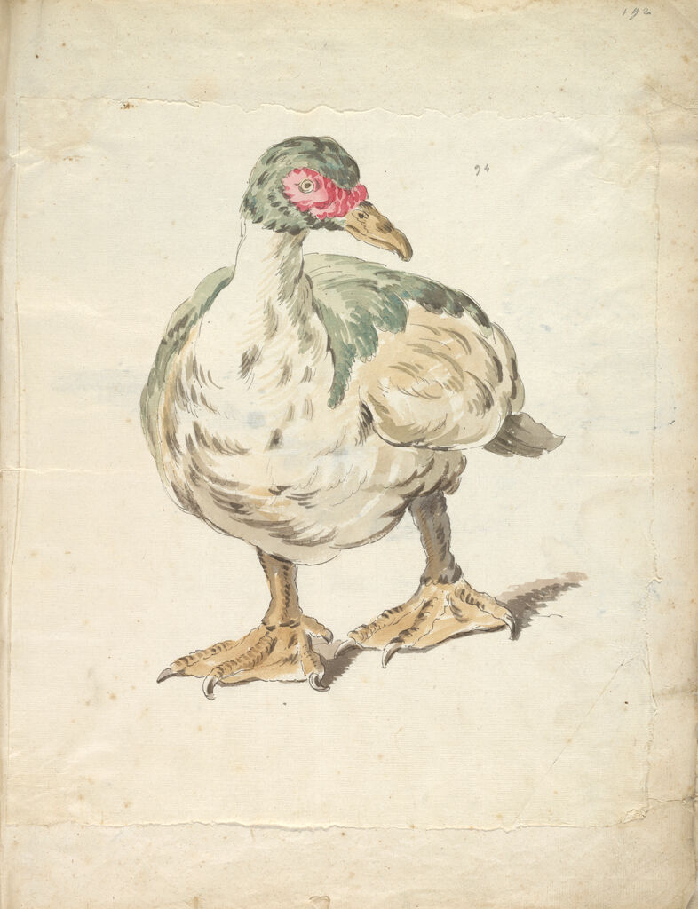 Duck; Verso: Eagle