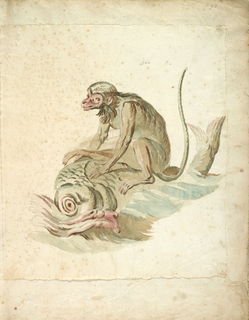 Monkey Riding A Dolphin; Verso: Blank