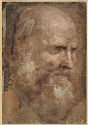 
An elderly man’s bearded head is painted in pastel pink, white, and grey colored tempera.