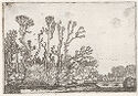 A black and white print portrays a small pond area surrounded by tall trees and vegetation 
