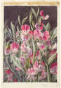 A tight cluster of blooming pink and light purple sweet peas extend upward, depicted in realistic detail.
