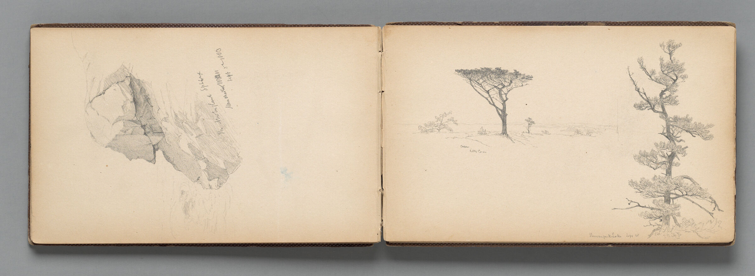 Two Studies Of Trees; Verso: Partial Manchester Beach Seascape