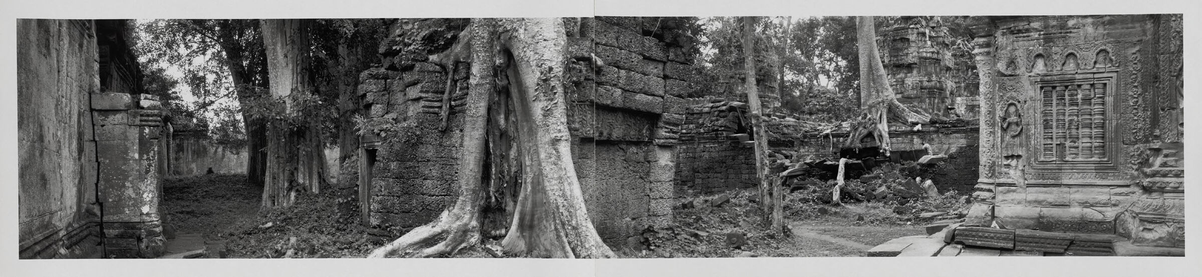 Angkor Wat (Courtyard / Tree Diptych)