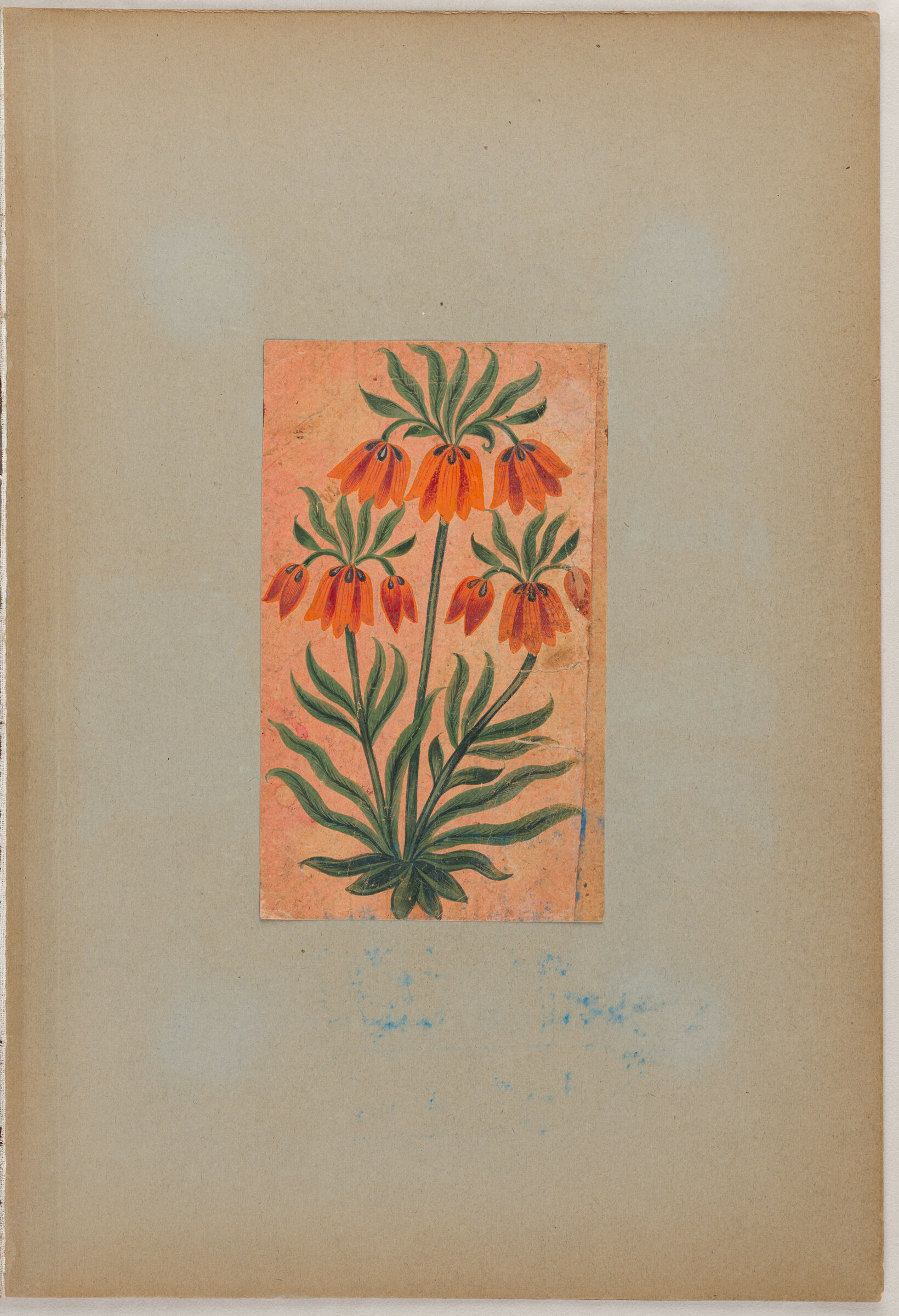 Folio 1 From An Album Of Drawings And Paintings: Folio From A Qu’ran: Sura 1 (Recto); Crown Imperial (Fritillaria Imperialis) (Verso)