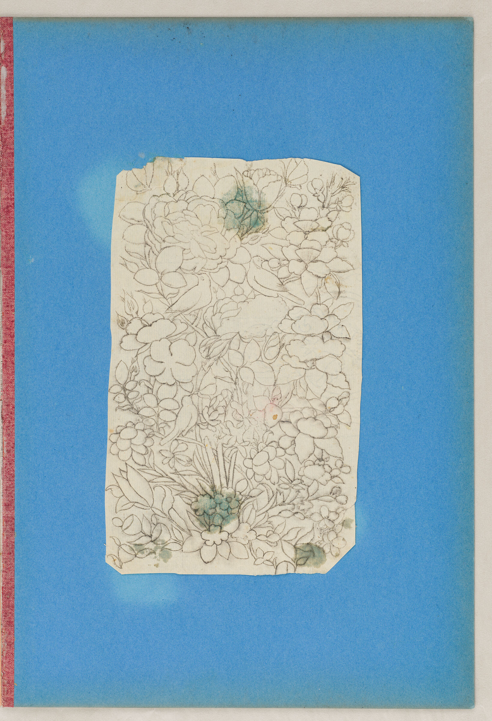 Folio 2 From An Album Of Artists' Drawings From Qajar Iran: Blank Page (Recto); Birds, Flowers, And Butterflies (Verso)