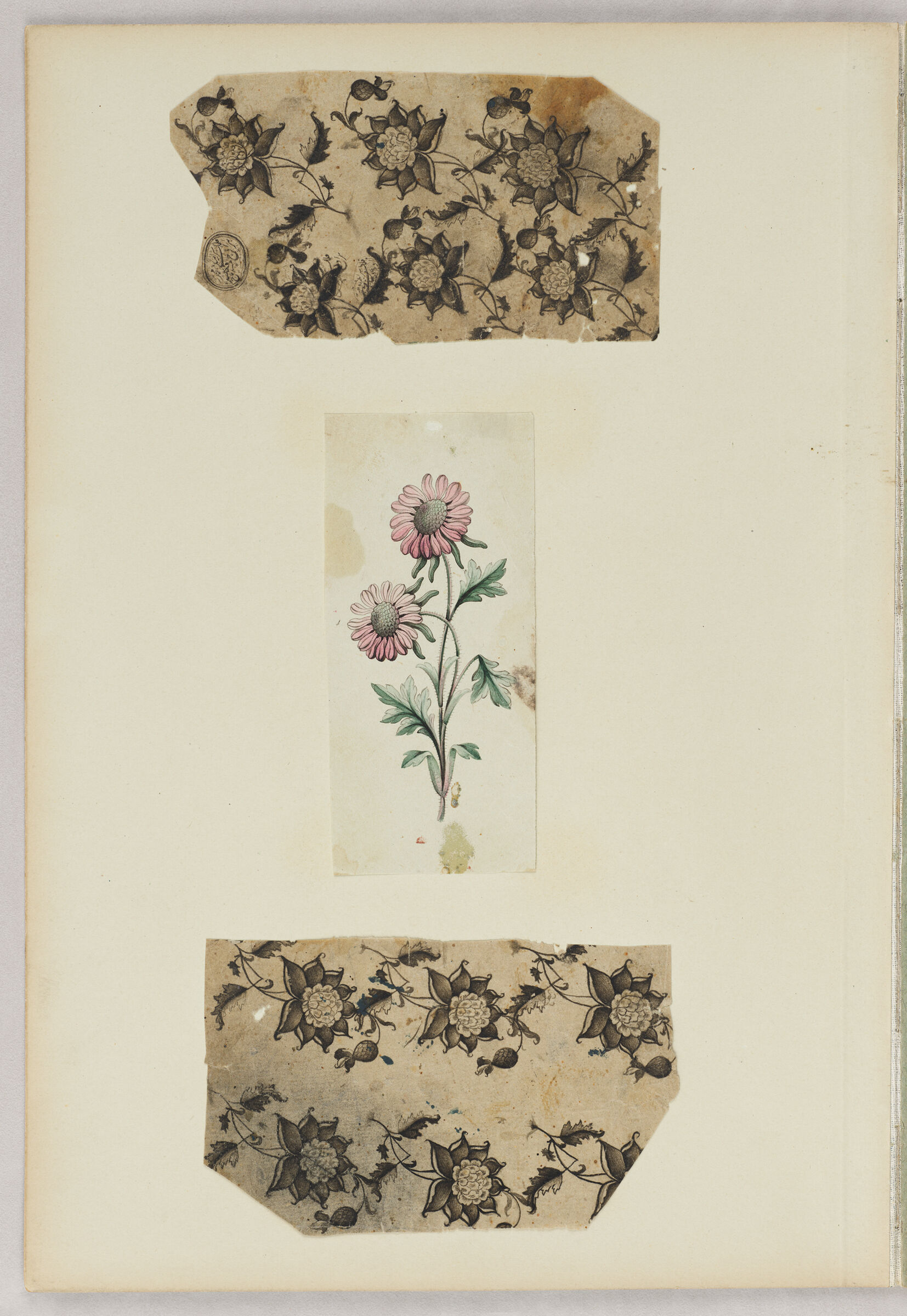 Folio 45 From An Album Of Drawings And Paintings: Three Sheets With Floral Drawings (Recto); Blank Page (Verso)