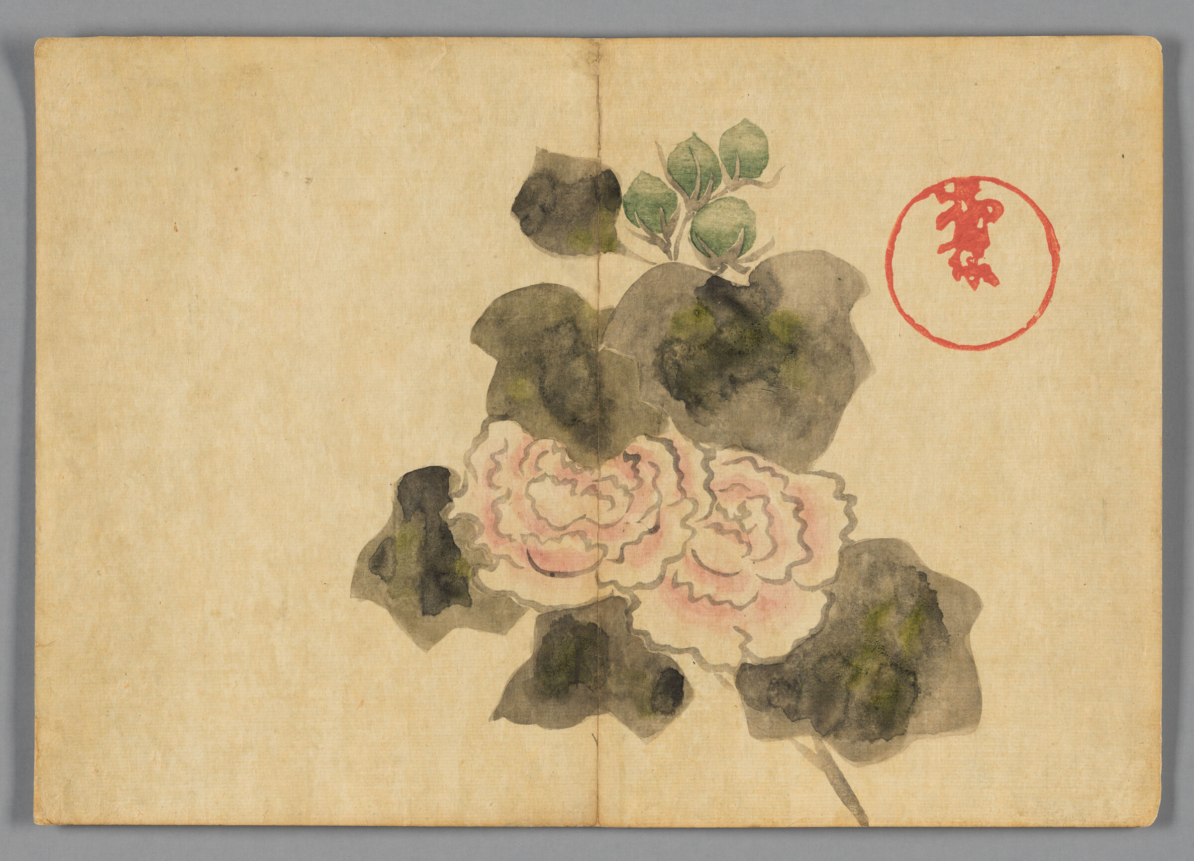 Peonies, From The Kōrin Gafu (Kōrin Picture Album)
