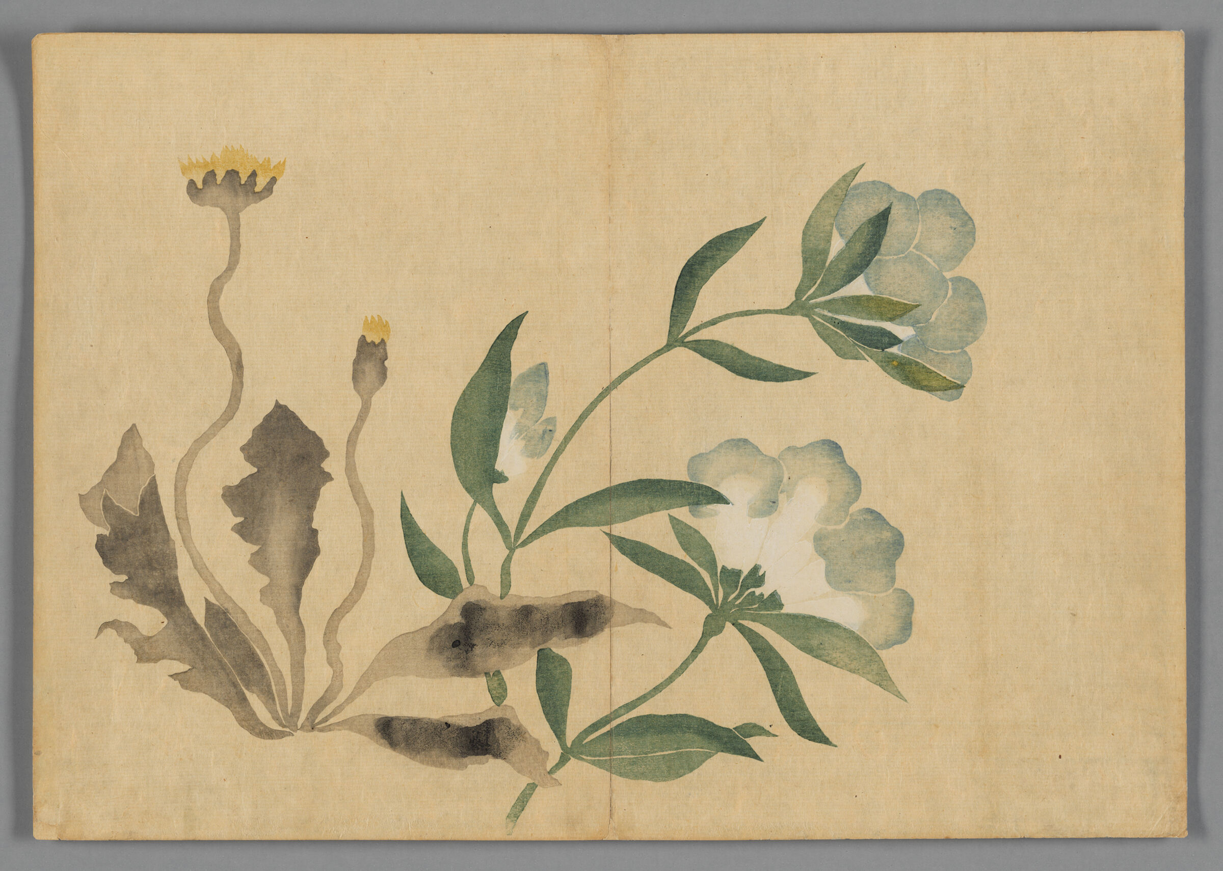 Dandelions And Flowers, From The Kōrin Gafu (Kōrin Picture Album)