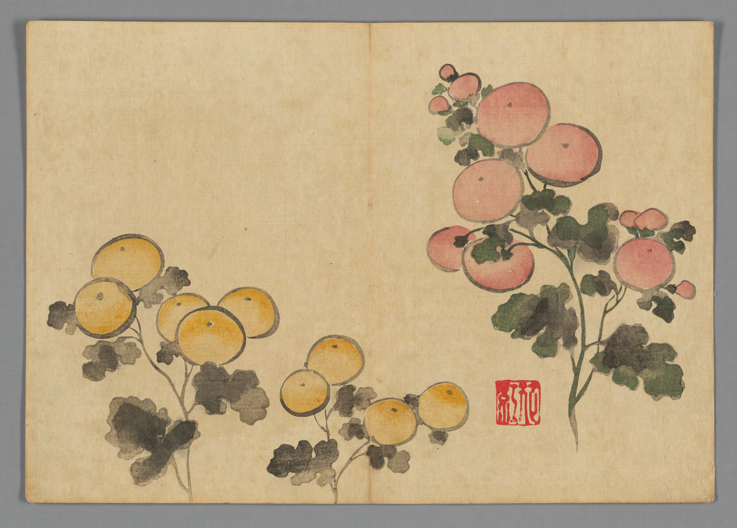 Chrysanthemums, From The Kōrin Gafu (Kōrin Picture Album)