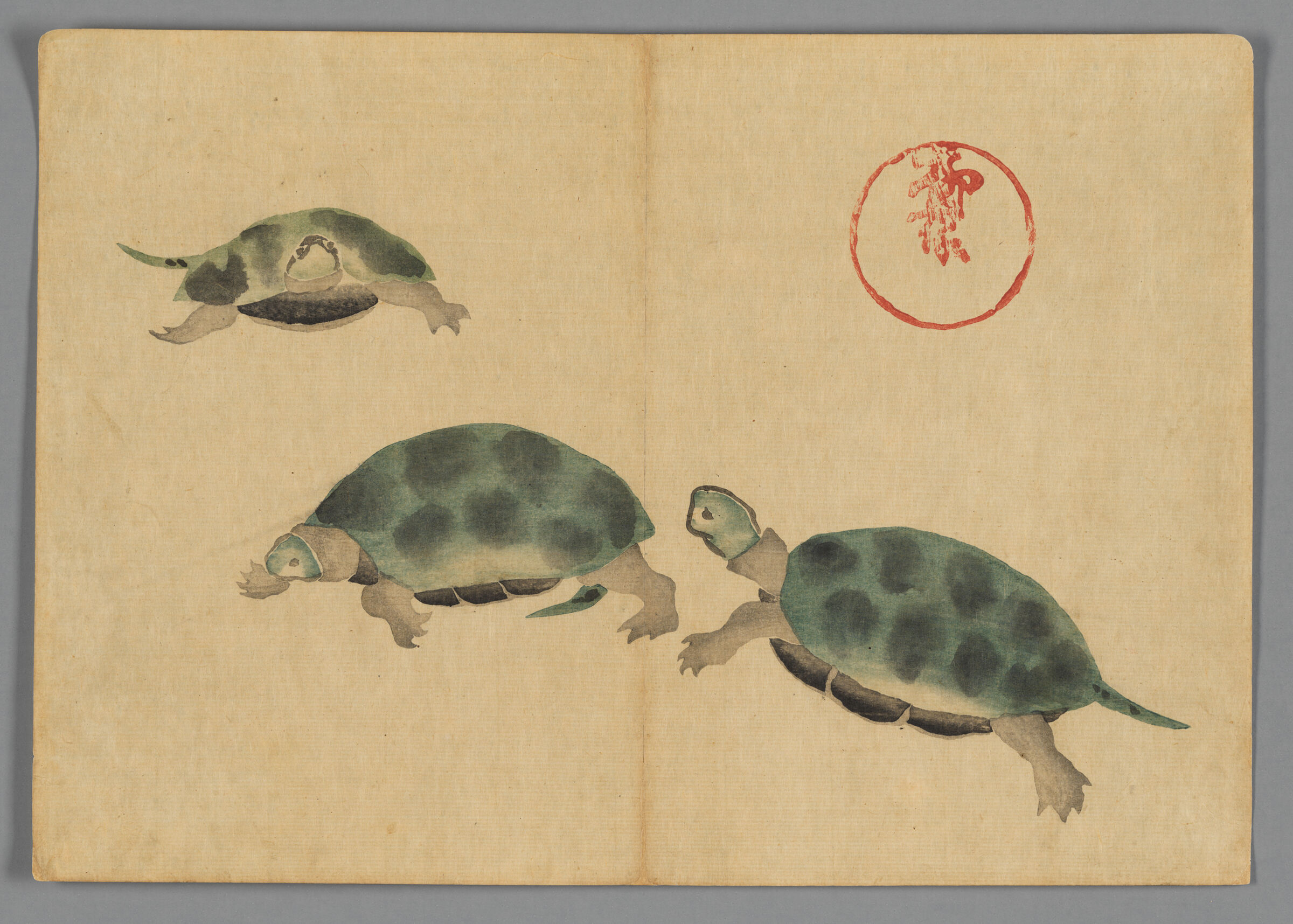 Three Turtles, From The Kōrin Gafu (Kōrin Picture Album)