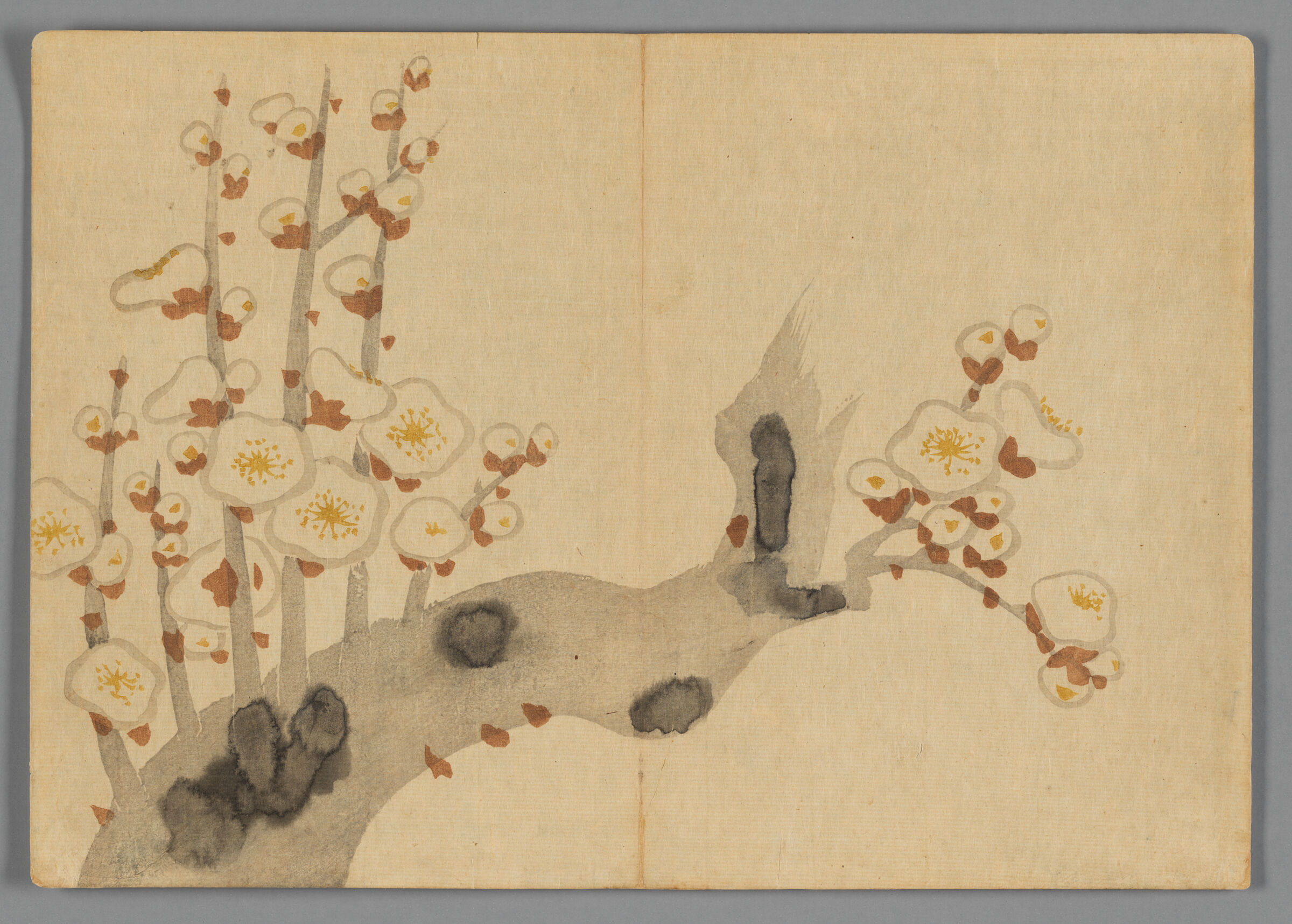 Plum Branch In Blossom, From The Kōrin Gafu (Kōrin Picture Album)