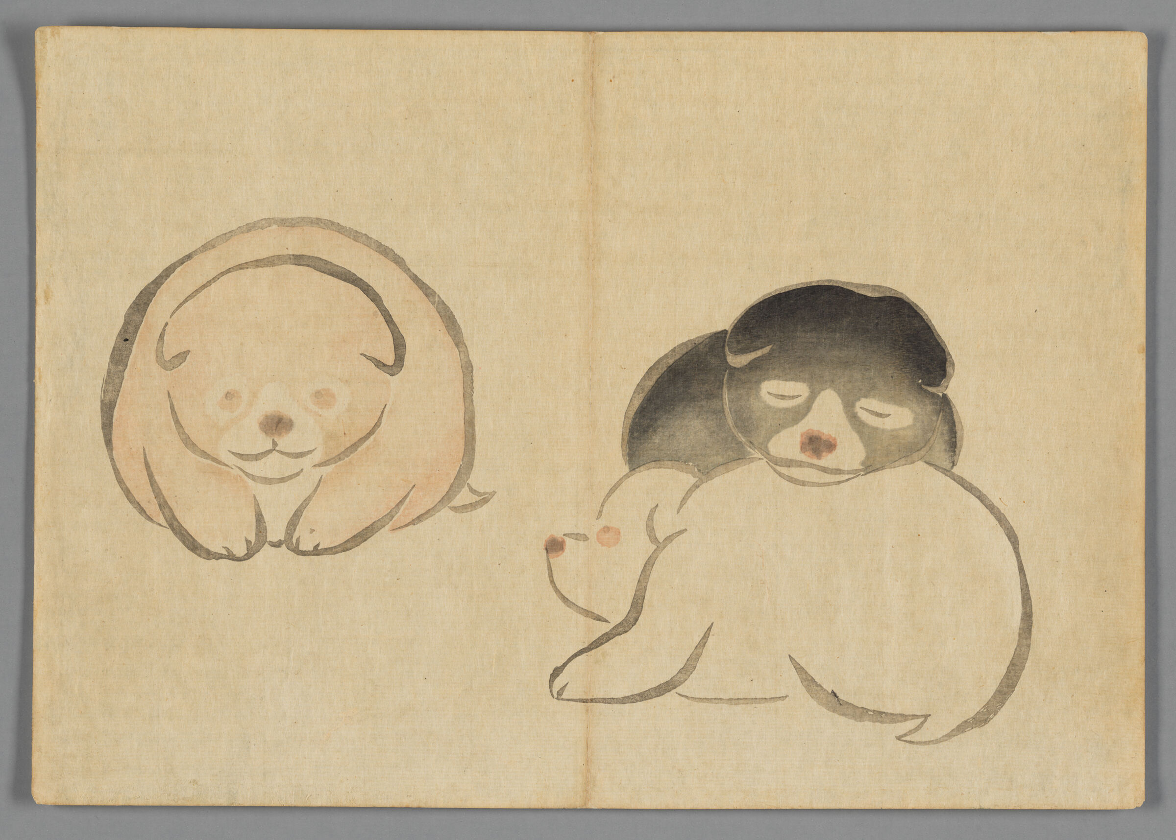 Three Puppies, From The Kōrin Gafu (Kōrin Picture Album)
