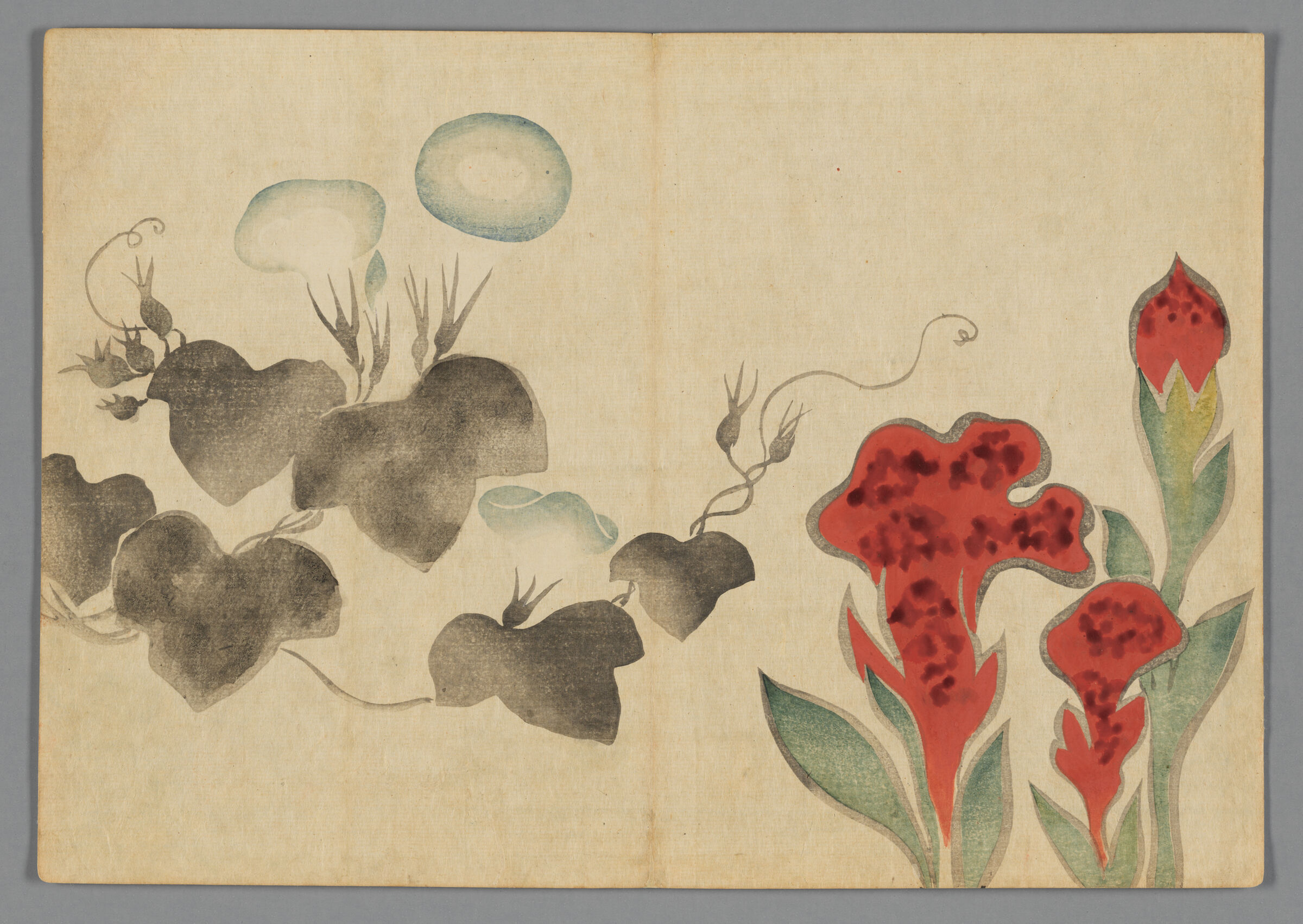 Morning Glory And Cockscomb, From The Kōrin Gafu (Kōrin Picture Album)